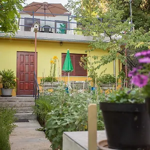 Apartment Pipo